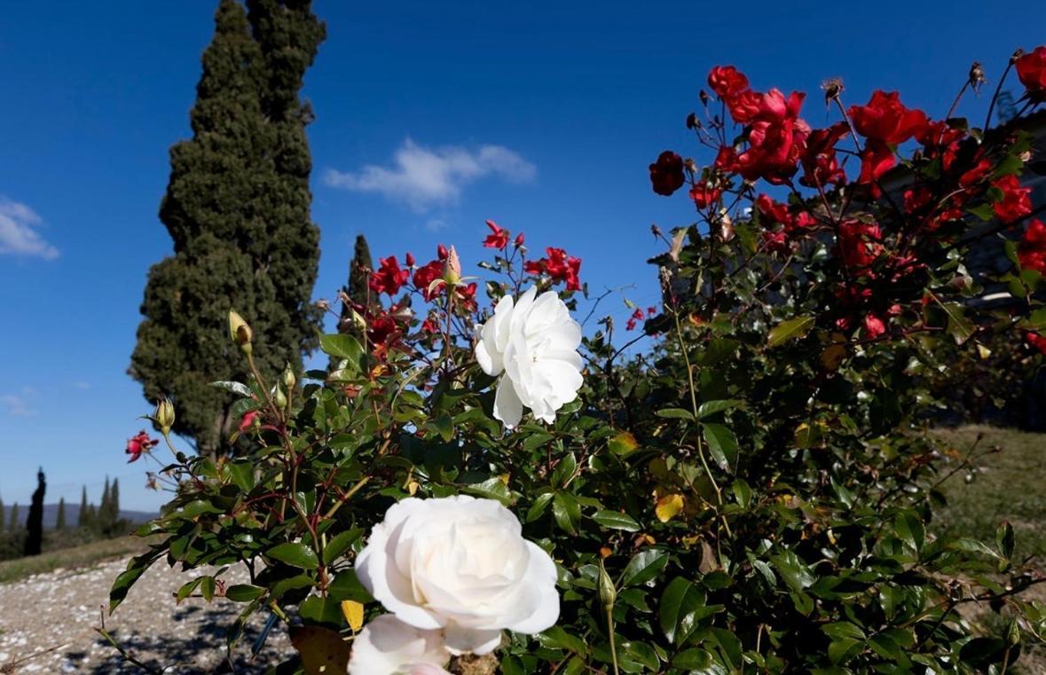 Agriturismo Il Ghiaccio ชูเวเรโต ภายนอก รูปภาพ